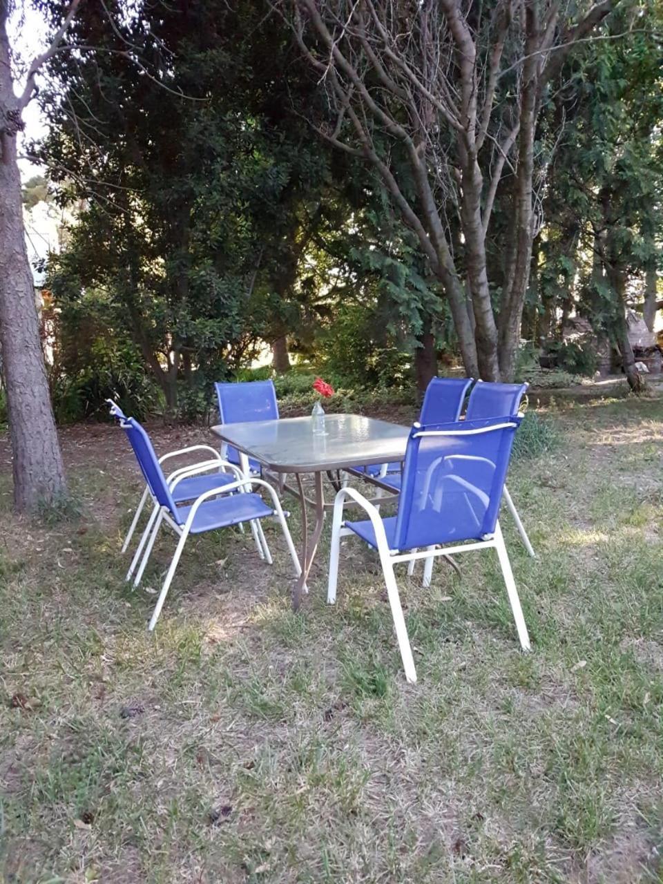 Casa De Campo Flor Dorada Centenario Extérieur photo
